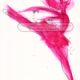 Dancer Red | Art by M.L. Walker | Myuzing