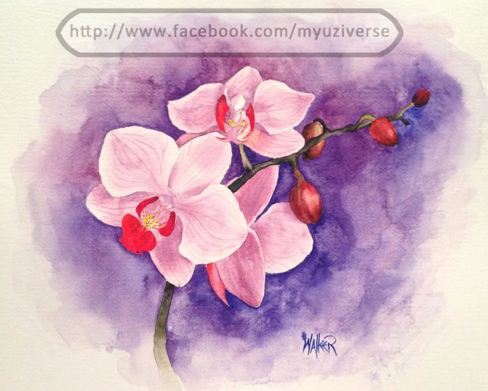 Orchids | Art by M.L. Walker | Myuzing