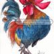 Rooster | Animals by M.L. Walker | Myuzing